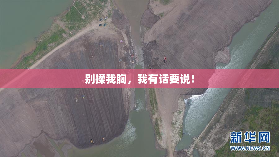 别揉我胸，我有话要说！