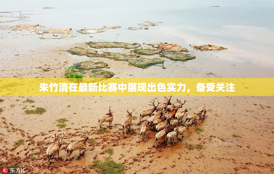 朱竹清在最新比赛中展现出色实力，备受关注