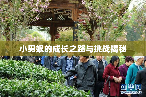 小男娘的成长之路与挑战揭秘