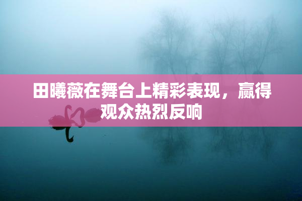 田曦薇在舞台上精彩表现，赢得观众热烈反响