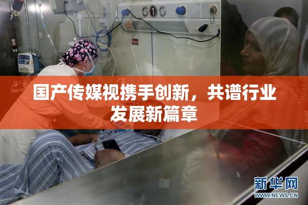 国产传媒视携手创新，共谱行业发展新篇章