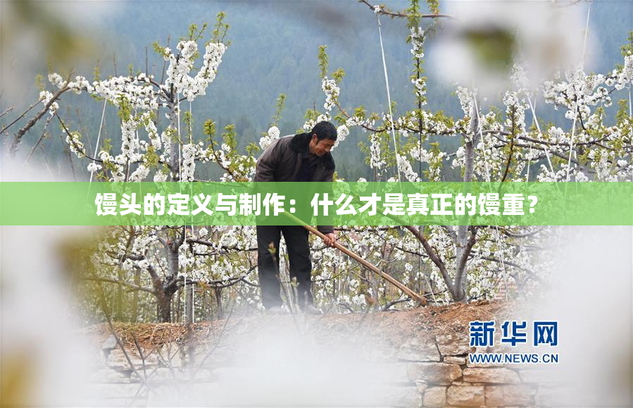 馒头的定义与制作：什么才是真正的馒重？