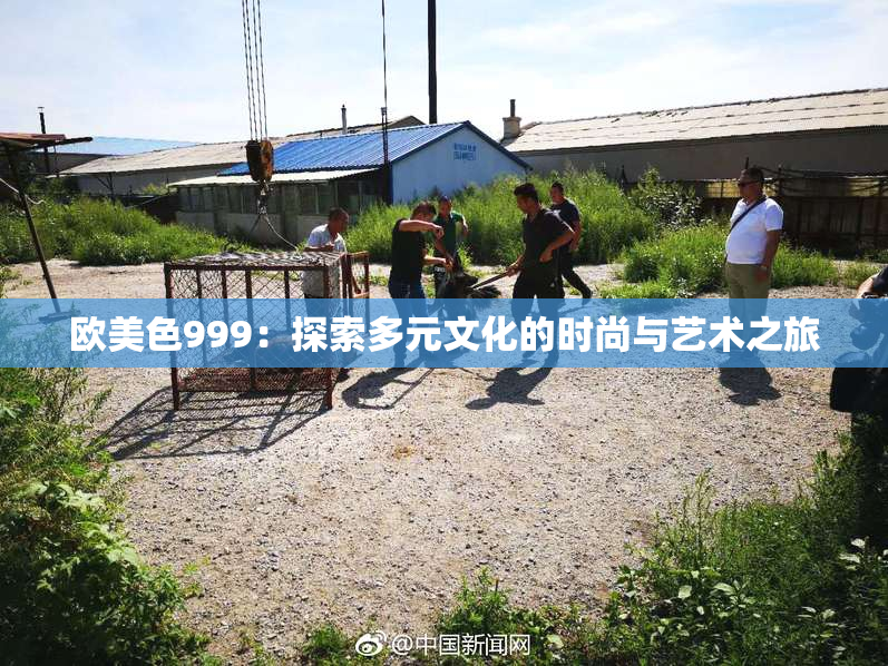 欧美色999：探索多元文化的时尚与艺术之旅