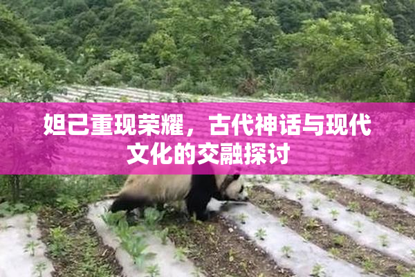妲己重现荣耀，古代神话与现代文化的交融探讨