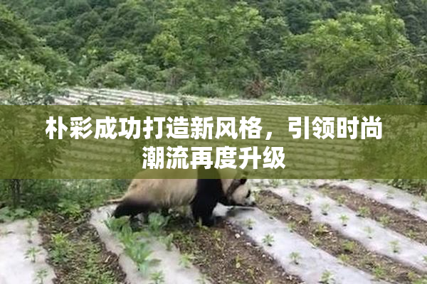 朴彩成功打造新风格，引领时尚潮流再度升级