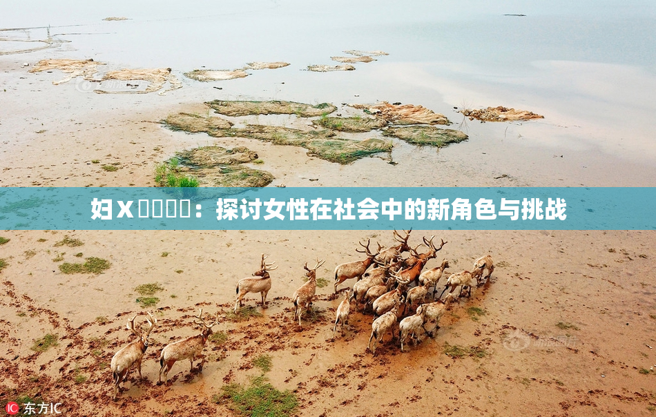 妇Ⅹ乄乂❌‌：探讨女性在社会中的新角色与挑战