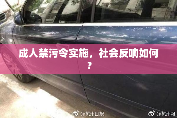 成人禁污令实施，社会反响如何？