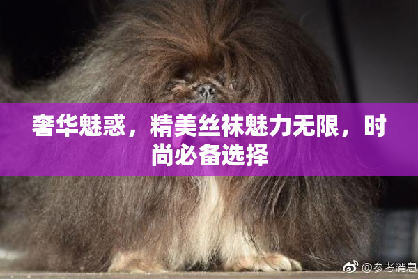 奢华魅惑，精美丝袜魅力无限，时尚必备选择