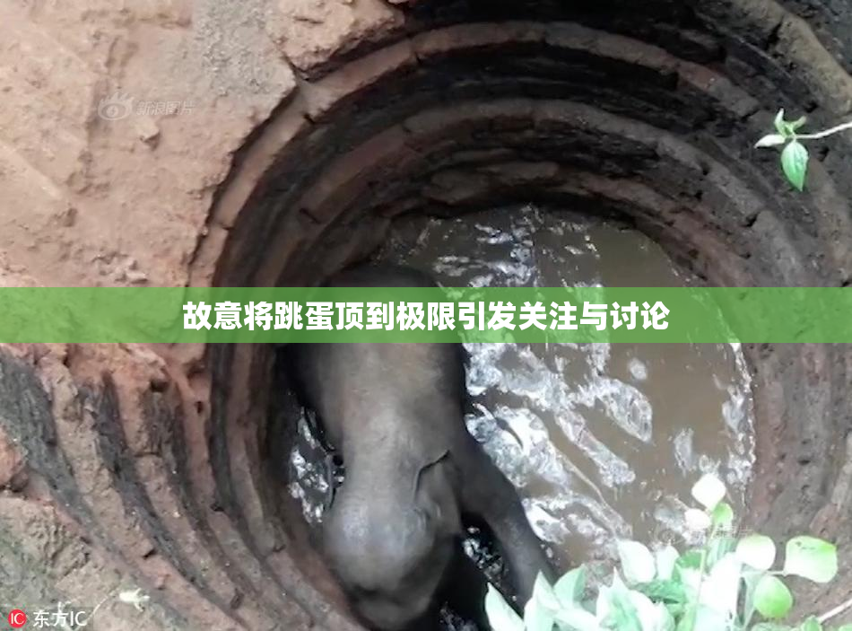 故意将跳蛋顶到极限引发关注与讨论