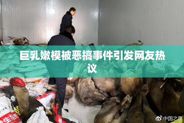 巨乳嫩模被恶搞事件引发网友热议