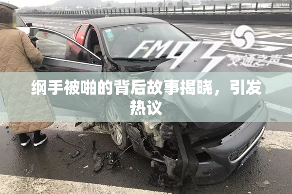 纲手被啪的背后故事揭晓，引发热议