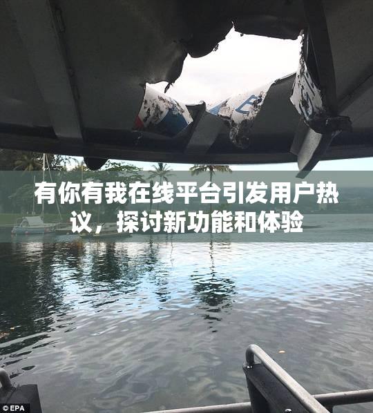 有你有我在线平台引发用户热议，探讨新功能和体验