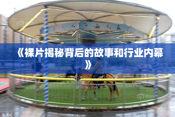 《裸片揭秘背后的故事和行业内幕》