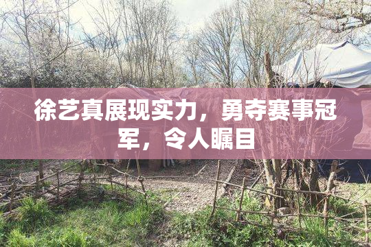 徐艺真展现实力，勇夺赛事冠军，令人瞩目
