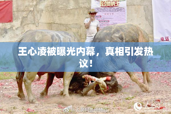 王心凌被曝光内幕，真相引发热议！