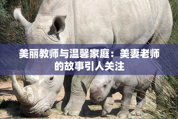 美丽教师与温馨家庭：美妻老师的故事引人关注