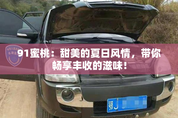 91蜜桃：甜美的夏日风情，带你畅享丰收的滋味！