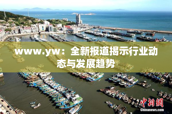 www.yw：全新报道揭示行业动态与发展趋势