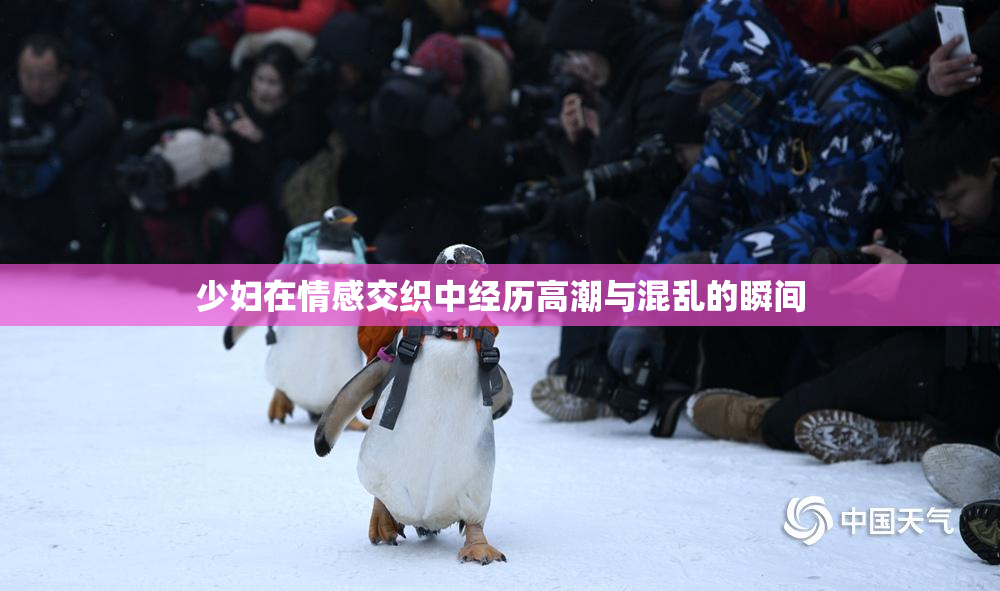 少妇在情感交织中经历高潮与混乱的瞬间