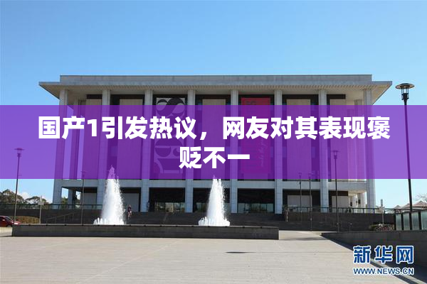 国产1引发热议，网友对其表现褒贬不一