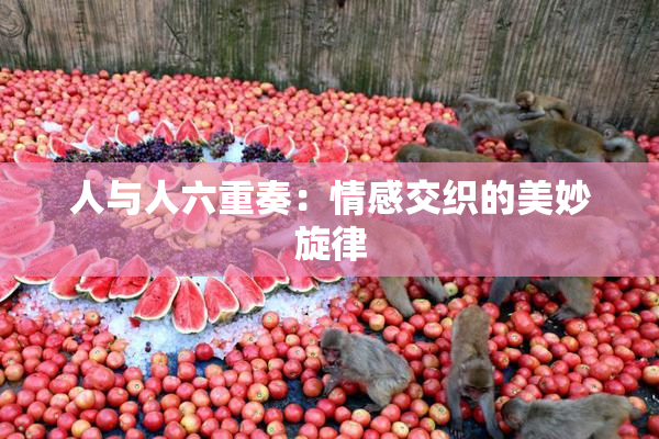 人与人六重奏：情感交织的美妙旋律