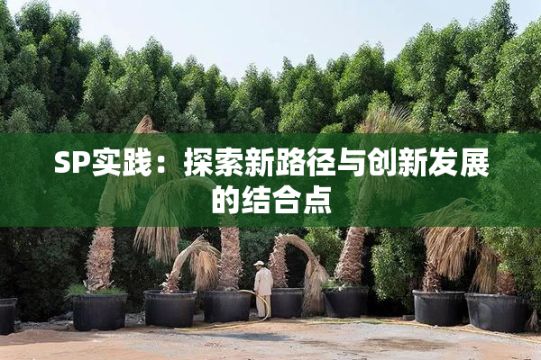 SP实践：探索新路径与创新发展的结合点