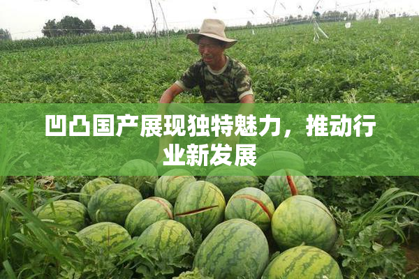 凹凸国产展现独特魅力，推动行业新发展