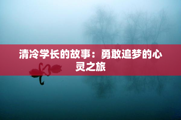清冷学长的故事：勇敢追梦的心灵之旅