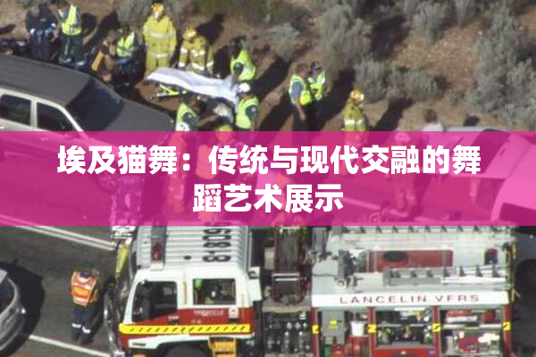 埃及猫舞：传统与现代交融的舞蹈艺术展示
