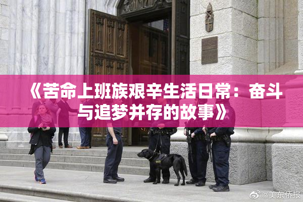 《苦命上班族艰辛生活日常：奋斗与追梦并存的故事》