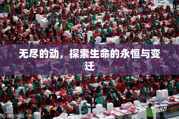 无尽的动，探索生命的永恒与变迁