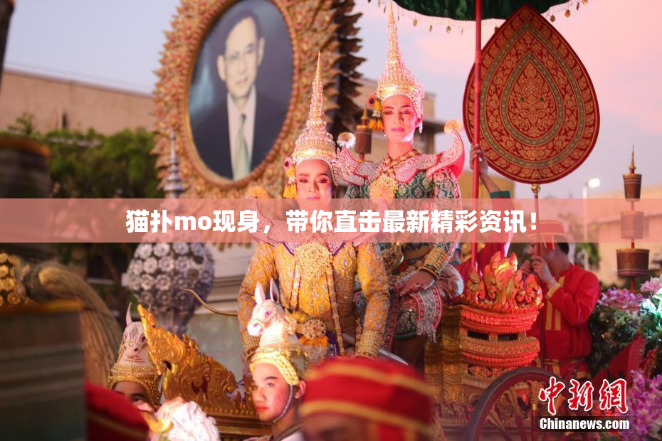猫扑mo现身，带你直击最新精彩资讯！