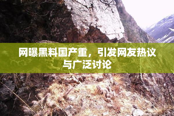 网曝黑料国产重，引发网友热议与广泛讨论