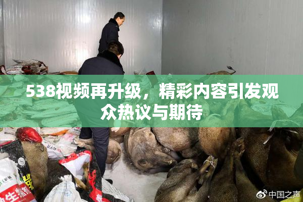 538视频再升级，精彩内容引发观众热议与期待