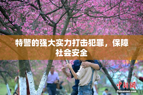 特警的强大实力打击犯罪，保障社会安全