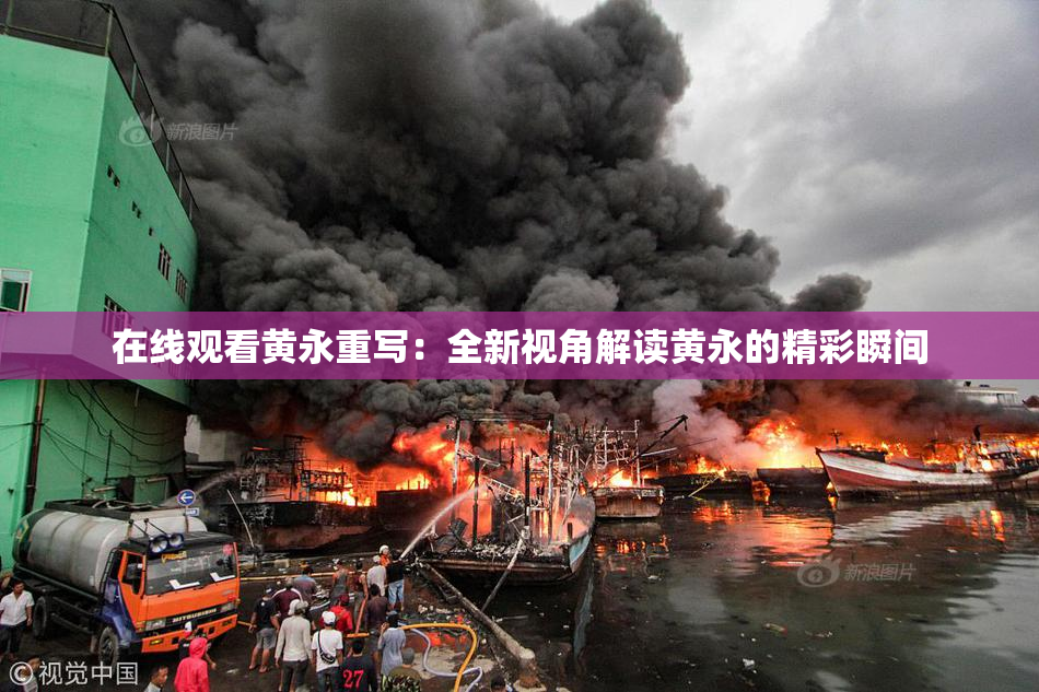 在线观看黄永重写：全新视角解读黄永的精彩瞬间