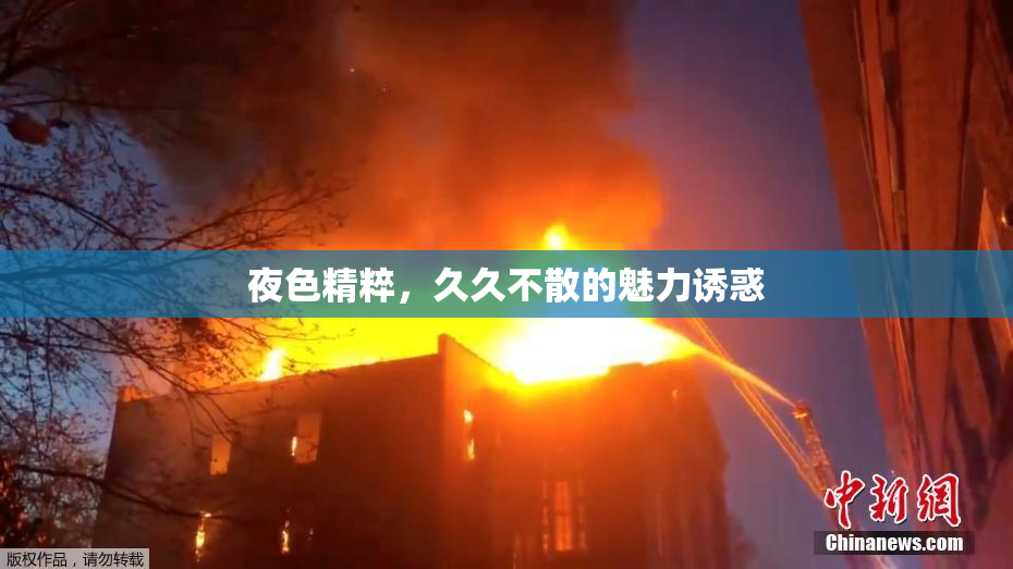 夜色精粹，久久不散的魅力诱惑