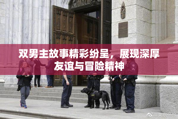 双男主故事精彩纷呈，展现深厚友谊与冒险精神