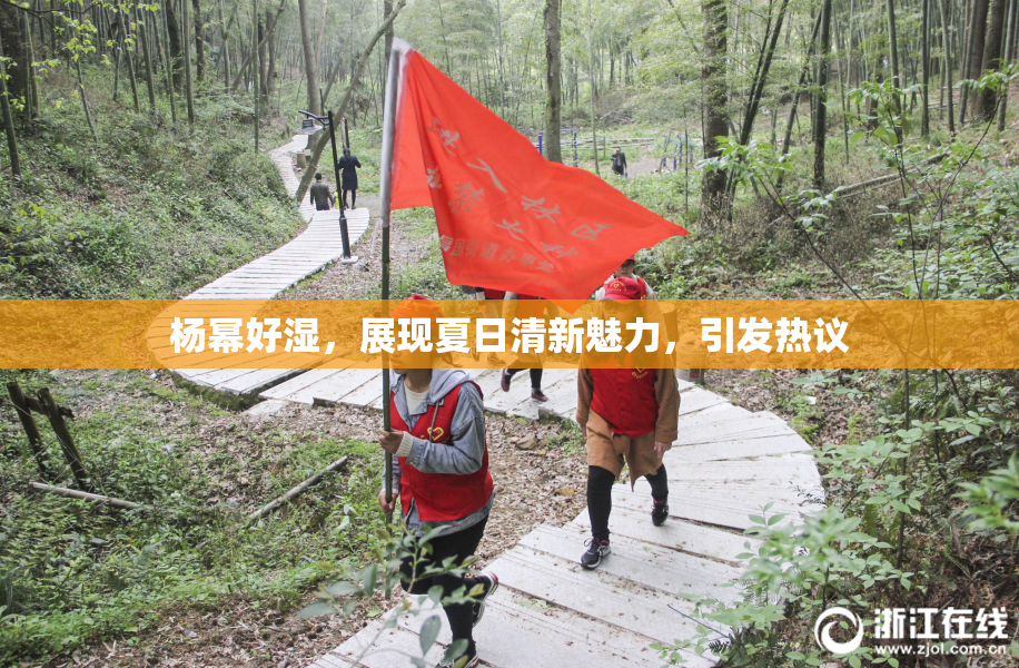 杨幂好湿，展现夏日清新魅力，引发热议