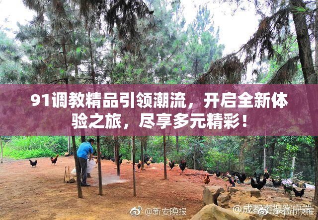 91调教精品引领潮流，开启全新体验之旅，尽享多元精彩！