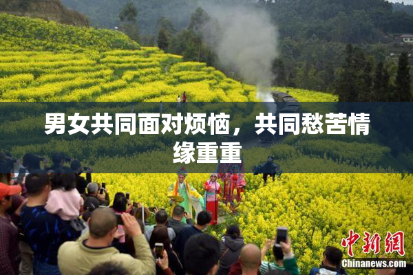 男女共同面对烦恼，共同愁苦情缘重重