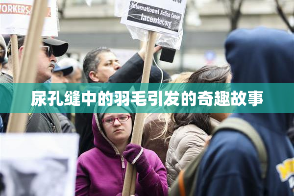 尿孔缝中的羽毛引发的奇趣故事