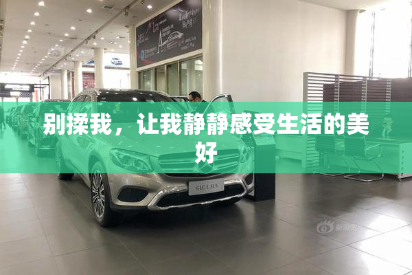 别揉我，让我静静感受生活的美好