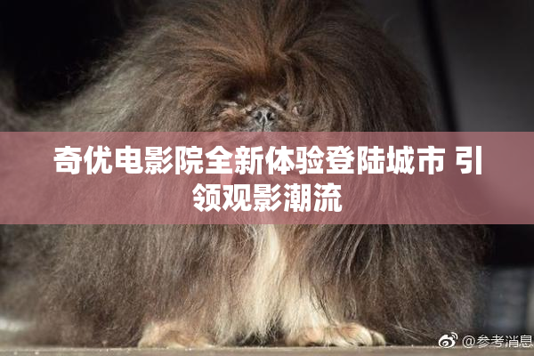 奇优电影院全新体验登陆城市 引领观影潮流