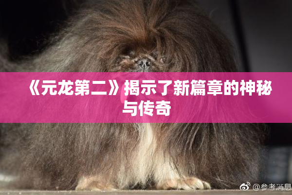《元龙第二》揭示了新篇章的神秘与传奇