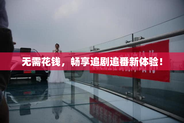 无需花钱，畅享追剧追番新体验！