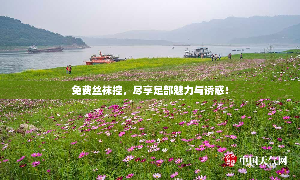 免费丝袜控，尽享足部魅力与诱惑！