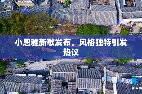 小恩雅新歌发布，风格独特引发热议