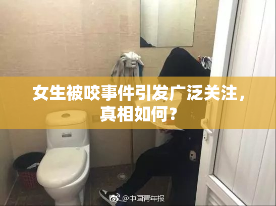 女生被咬事件引发广泛关注，真相如何？