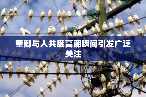 董卿与人共度高潮瞬间引发广泛关注